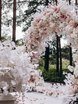Выездная регистрация в Классика, Весенняя / Летняя от Студия декора и флористики Charm ELLE 1