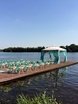 Выездная регистрация в Тематический, Весенняя / Летняя от Студия декора Золотой шар 2