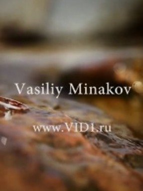 Видеоотчет со свадьбы 11 от Василий Минаков 1