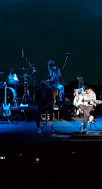 Willie Key на свадьбу 1