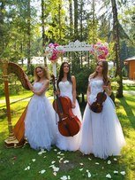 Arfa Project на свадьбу 1