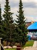 Шатер Ресторан Шале в Москве 8