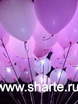filter_chto_decorating в filter_style_decora от Студия декора Шарте 1